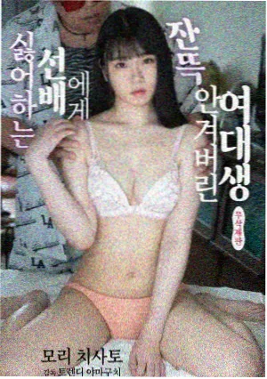 旧城区漫步记录封面